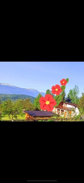 Solar Panorama
